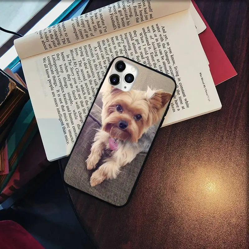 

Mini Yorkshire Terrier Dog Phone Cases for iPhone 11 12 pro XS MAX 8 7 6 6S Plus X 5S SE 2020 XR Soft silicone Shell Cover funda