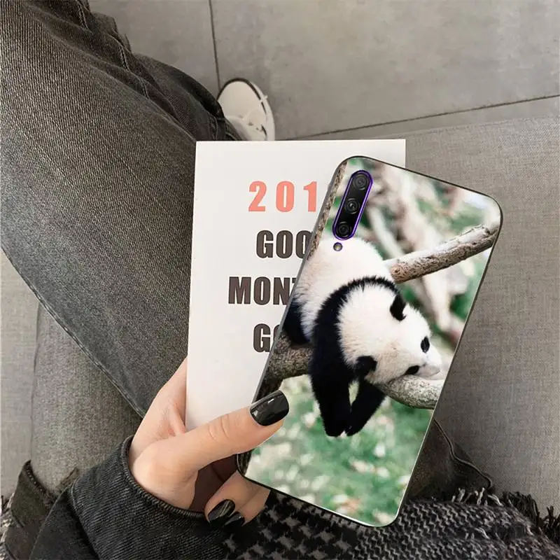 

Cute Panda animal Phone Case For Huawei Y6 7prime 9prime Y5 2019 Y5 Y6Prime 2018 Nova 3E mate10 20lite 20Pro funda case