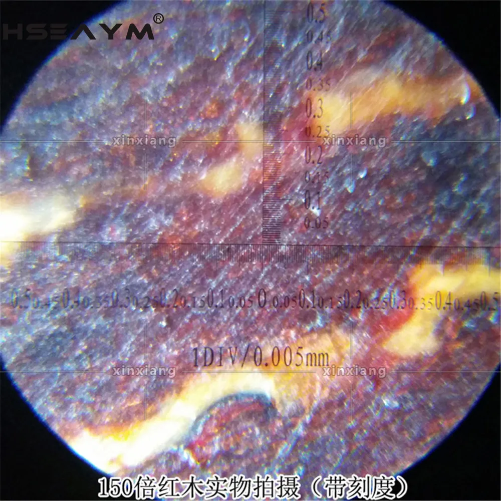 150X светодиодный портативный масштабный микроскоп с двойной трубкой