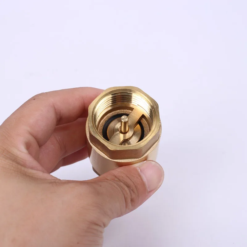 Латунный пружинный обратный клапан с резьбой односторонний для жидкого газа AUG889