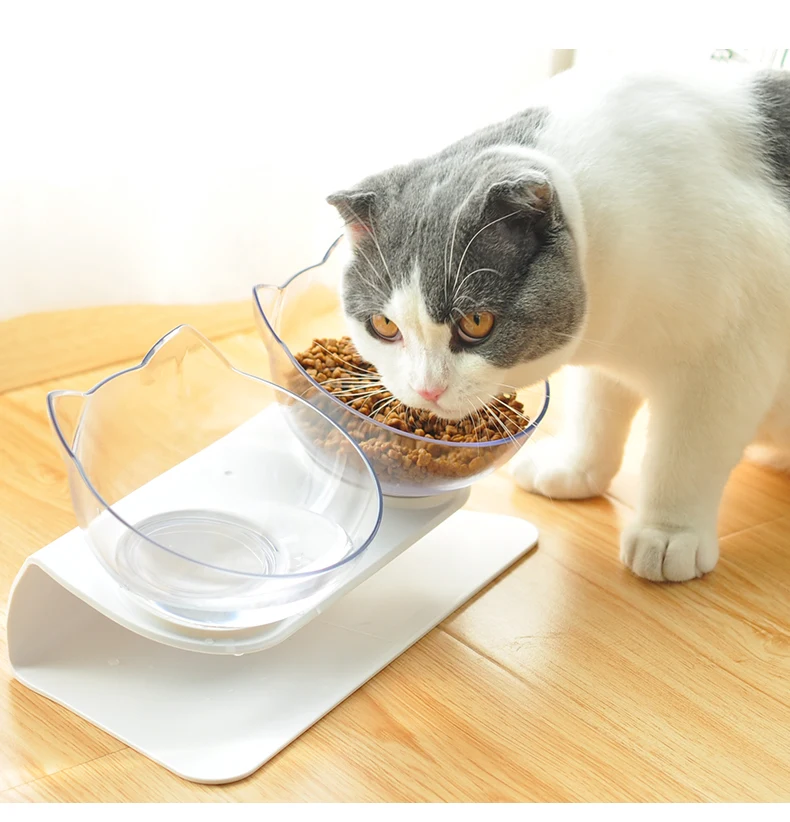 

Pet Products
