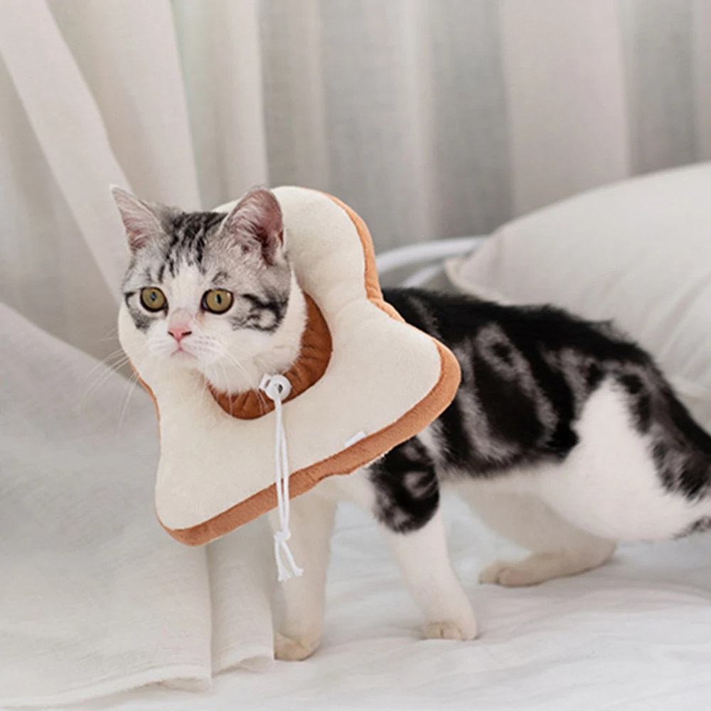 Домашнее животное кошка Елизаветы круг-воротник авокадо хлеб в форме хлопок