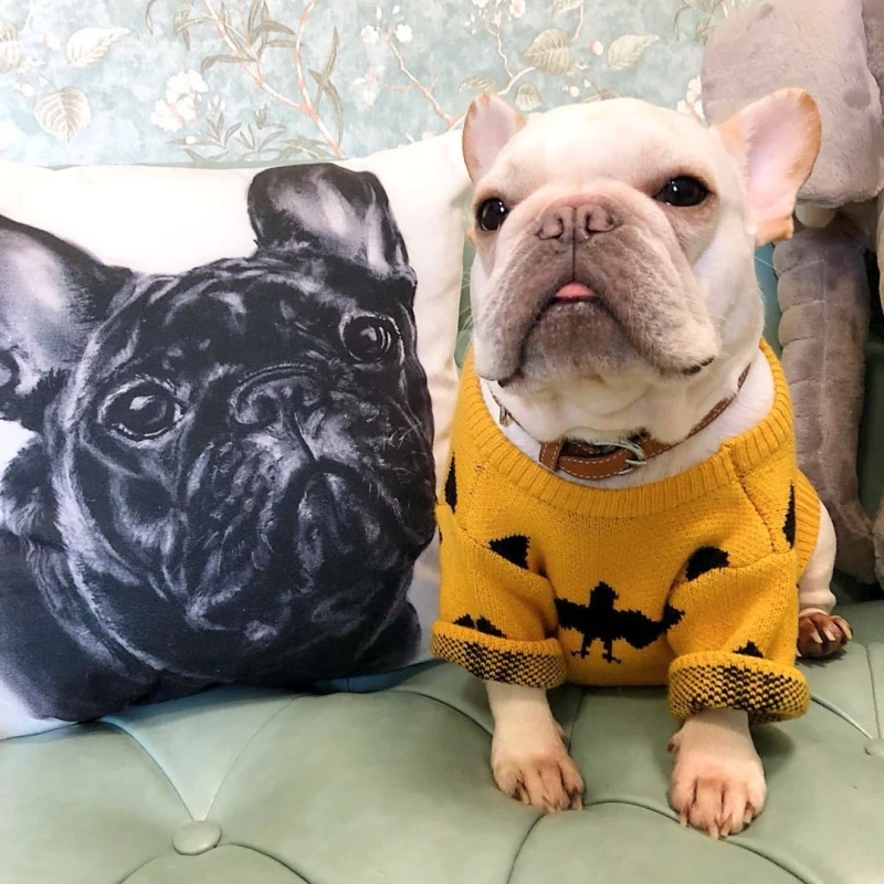 Halloween Pet Dog Sweater Cute Cat Bat Pattern Cloth Winter Puppy Scarf Christmas Clothes Knitwear Warm Clothing | Дом и сад