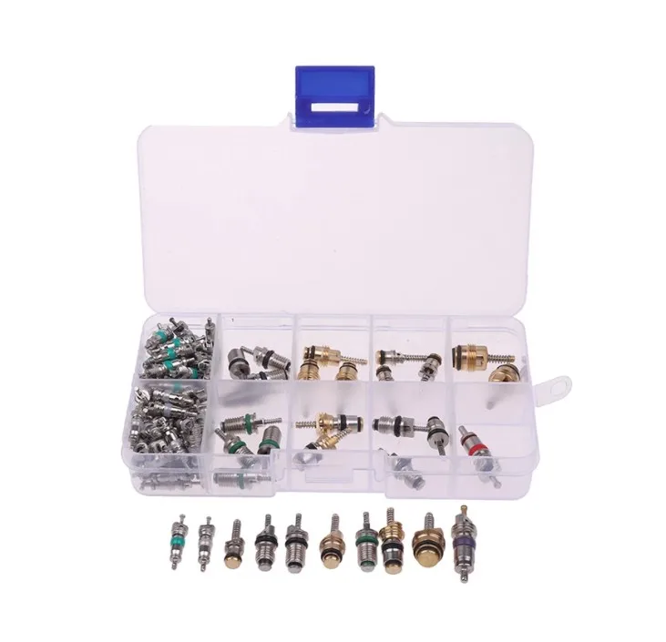 

100Pcs/box R134A Car A/C Core Valves Automotive Air Conditioning Assortment Kit