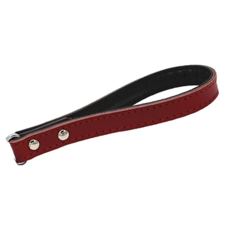 

Leather Pet Puppy Dog Leash Iron Chain Anti-bite Walking Running Outdoor Training for Small Medium Large Dogs