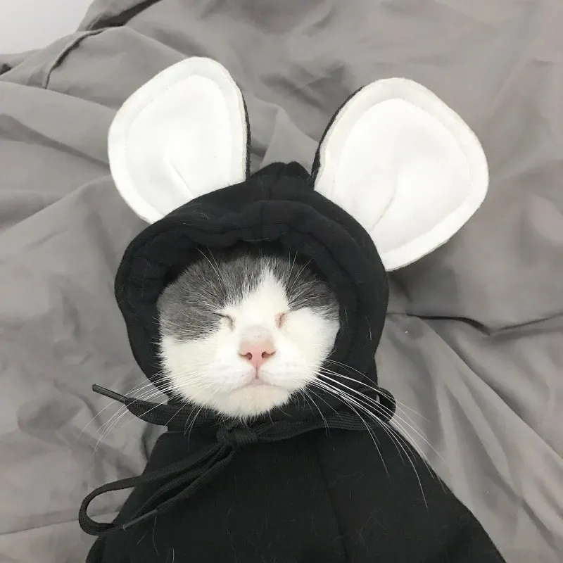 Одежда для маленьких собак теплая зимняя одежда флисовый костюм щенков