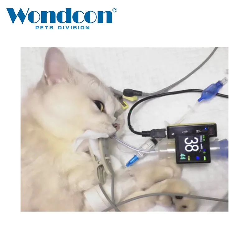 Wondcon ветеринарный ETCO2 монитор WMV650D кошки и собаки животных ветеринарная клиника