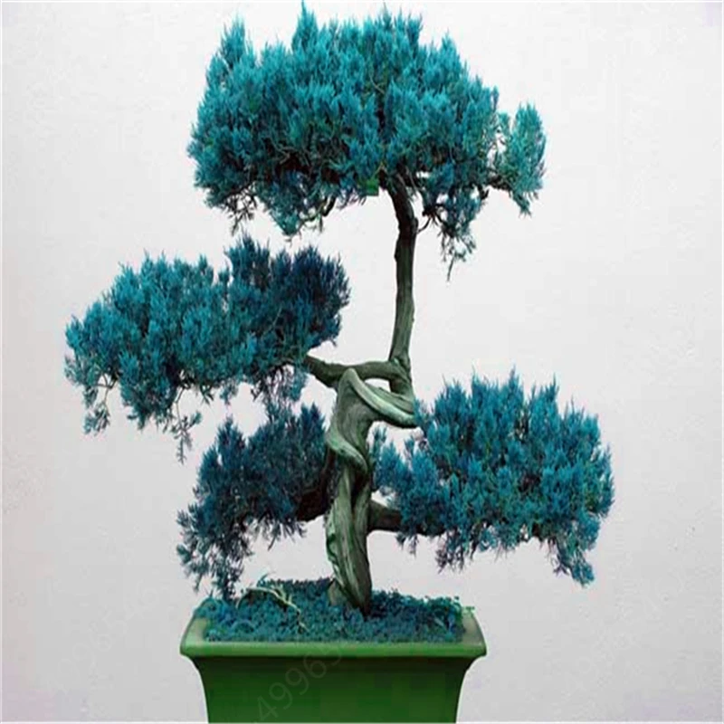 Аквариум Рок орнамент в стиле бонсай аквариум для рыб скалы искусственные