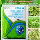 Фунгицид, активатор растений, белок, аминоолигосахарины, альтернативария, Nees, лечение вирусных заболеваний, садовый удобрение для роста