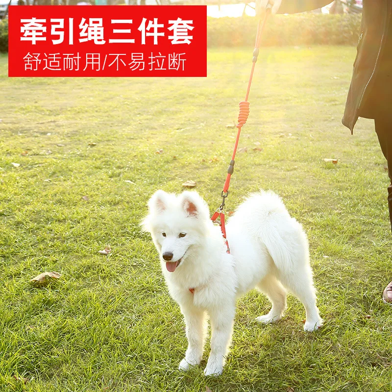 

Dog leash, chest strap, pet collar, dog leash, pet supplies