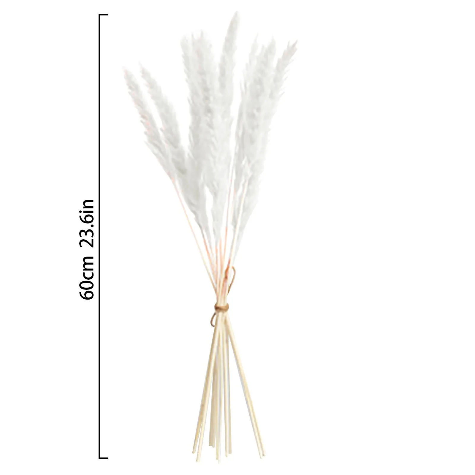 

15PCS Dried Reed Fluff Decoration Non-shedding Reed Flower Bouquet Bunch of Flowers Boho Style Vase Ornament