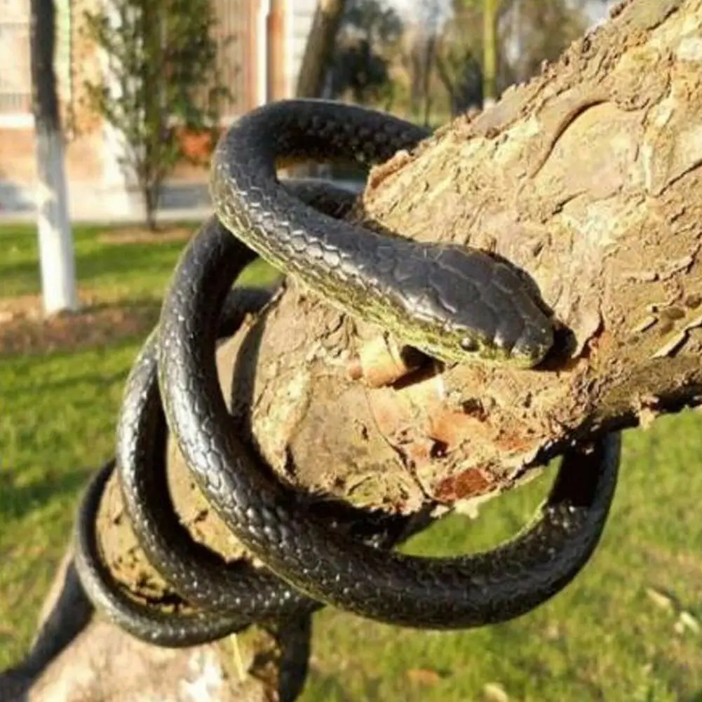 

GloryStar Realistic Toy Fake Snakes Halloween Safari Garden Props Joke Prank Gift