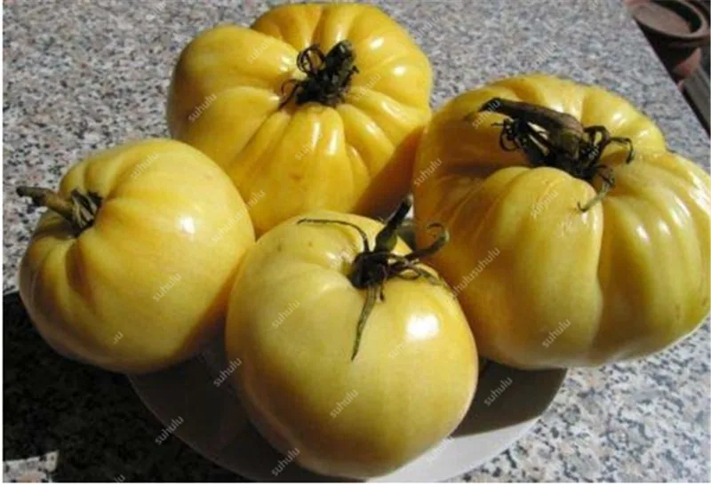 200 шт искусственных томатов |