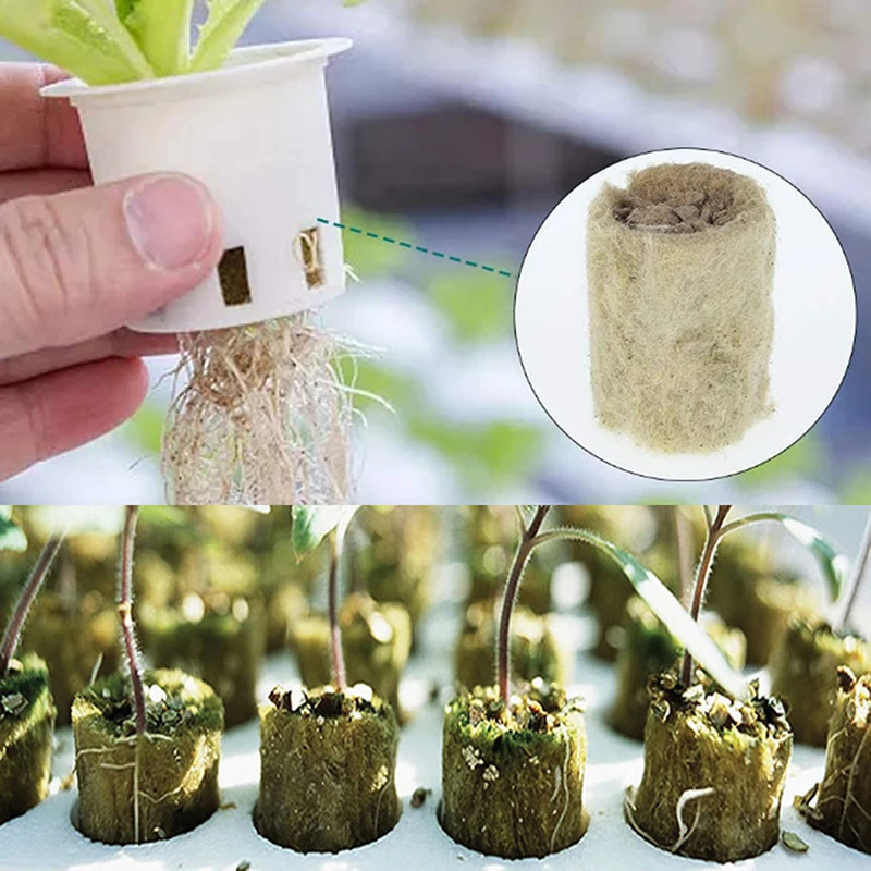

Mini Compress Base Practical Rockwool Cubes Media Blocks Soilless Cultivation