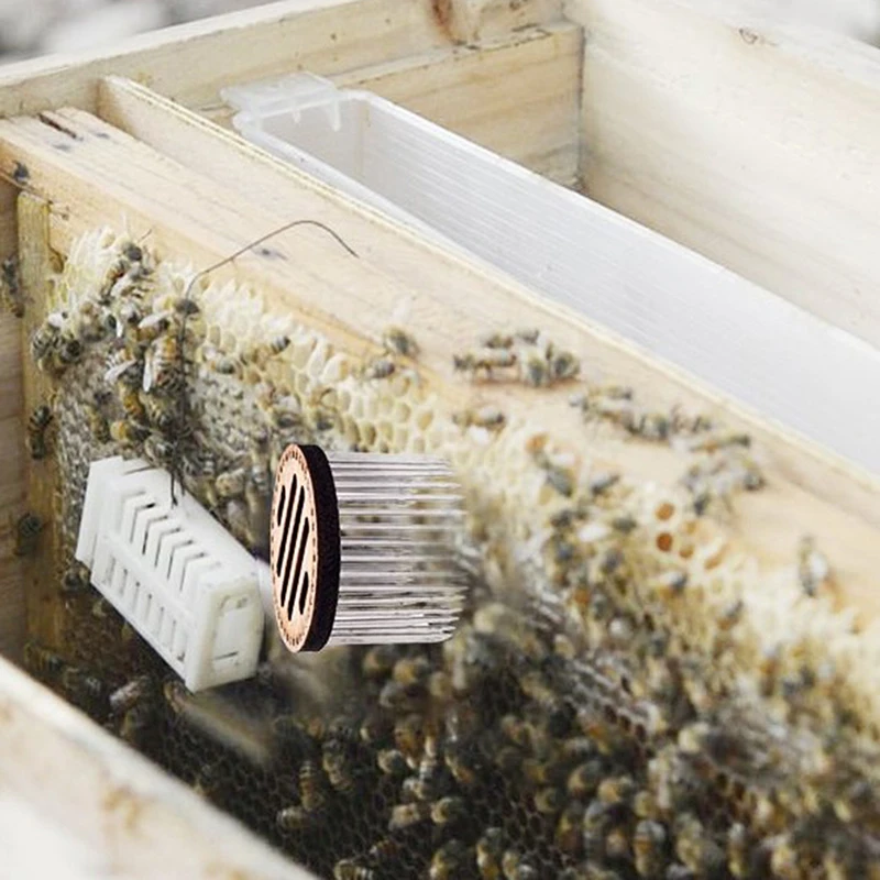 

Queen Bee Cage Stainless Steel Needle Type Catcher Isolation Room Beekeepin