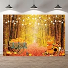 Осенний лес дерево детский душ портрет свадебный фото фон Тыква бампер Урожай живописная фотография фон студия