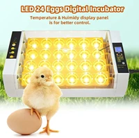 24 eggs fully automatic egg incubator brooder high hatching rate hatchery equipment chicken poultry incubator quail brooder tool