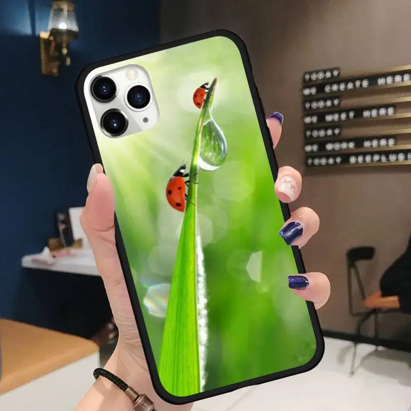 

four leaf ladybug daisy Phone Case for iPhone 11 12 pro XS MAX 8 7 6 6S Plus X 5S SE 2020 XR mini Funda