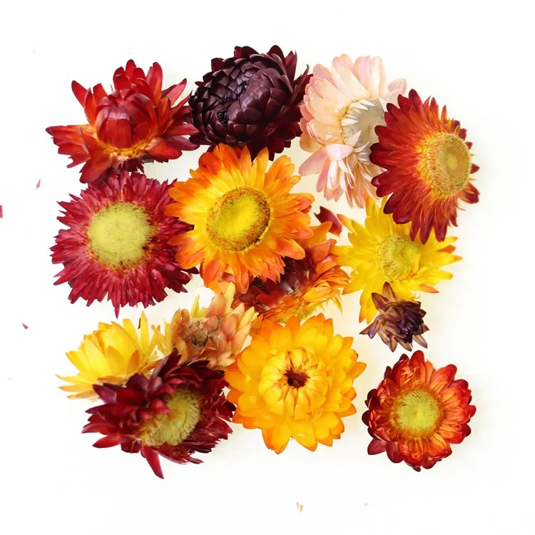 

10g Real Dried Flowers For DIY Art Crafts Epoxy Resin Fillings Candle Making Jewelry Glass Cover Ball Filler Jewelry Making