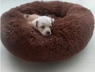 Кровать для питомца собаки Удобная пончик Cuddler круглая собачья Конура ультра мягкая моющаяся подушка для собаки и кошки зимний теплый диван Горячая sell2810 - Цвет: Dark brown