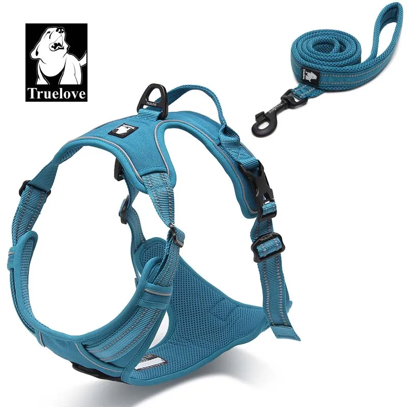 Blue Truelove поводок для собак, поводок для домашних животных, набор для больших и маленьких средних собак, ошейники и шлейки для собак, нейлоновый поводок и шлейки для собак - Цвет: Blue