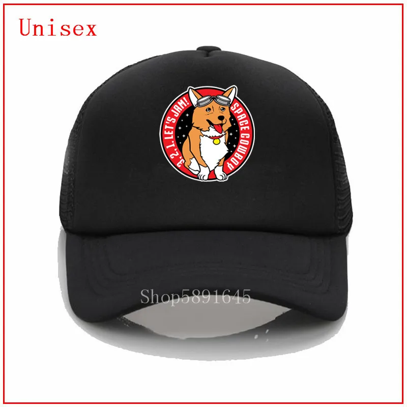 

Женская бейсбольная кепка corgi, бейсбольная кепка с принтом на заказ, пластиковая бейсболка