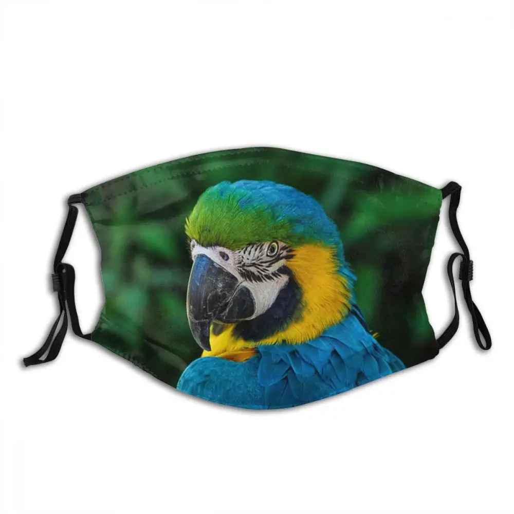 

Macaw Animal Washable Printed Mouth Face Mask with Filters Windproof Dust Proof for Men Women Protection Cover Respirator Adult