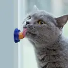 Полезный кошачий сахарный шар, питательные конфеты, кошачья здоровая закуска, Шар С Кошачьей Мятой, питательный гель, энергетический шар, инструмент для улучшения питьевой воды