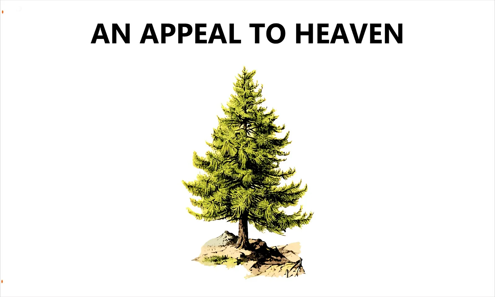 

Free Shipping 3d Printing Customization An Appeal To Heaven Flag 2021