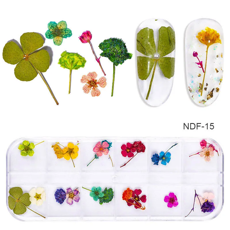 3d натуральные маргаритки Gypsophila DIY наклейки консервированные гербарий 12 сетки женские принадлежности сушеные цветы Дизайн ногтей украшения