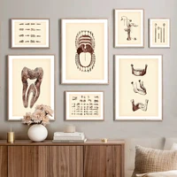 nordic posters and print teeth medicine skeleton abstract wall art canvas painting clinic decor pictures dental hospital room