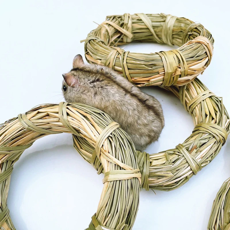 Игрушки для чистки зубов домашних животных хомяк кролик ветка дерева трава