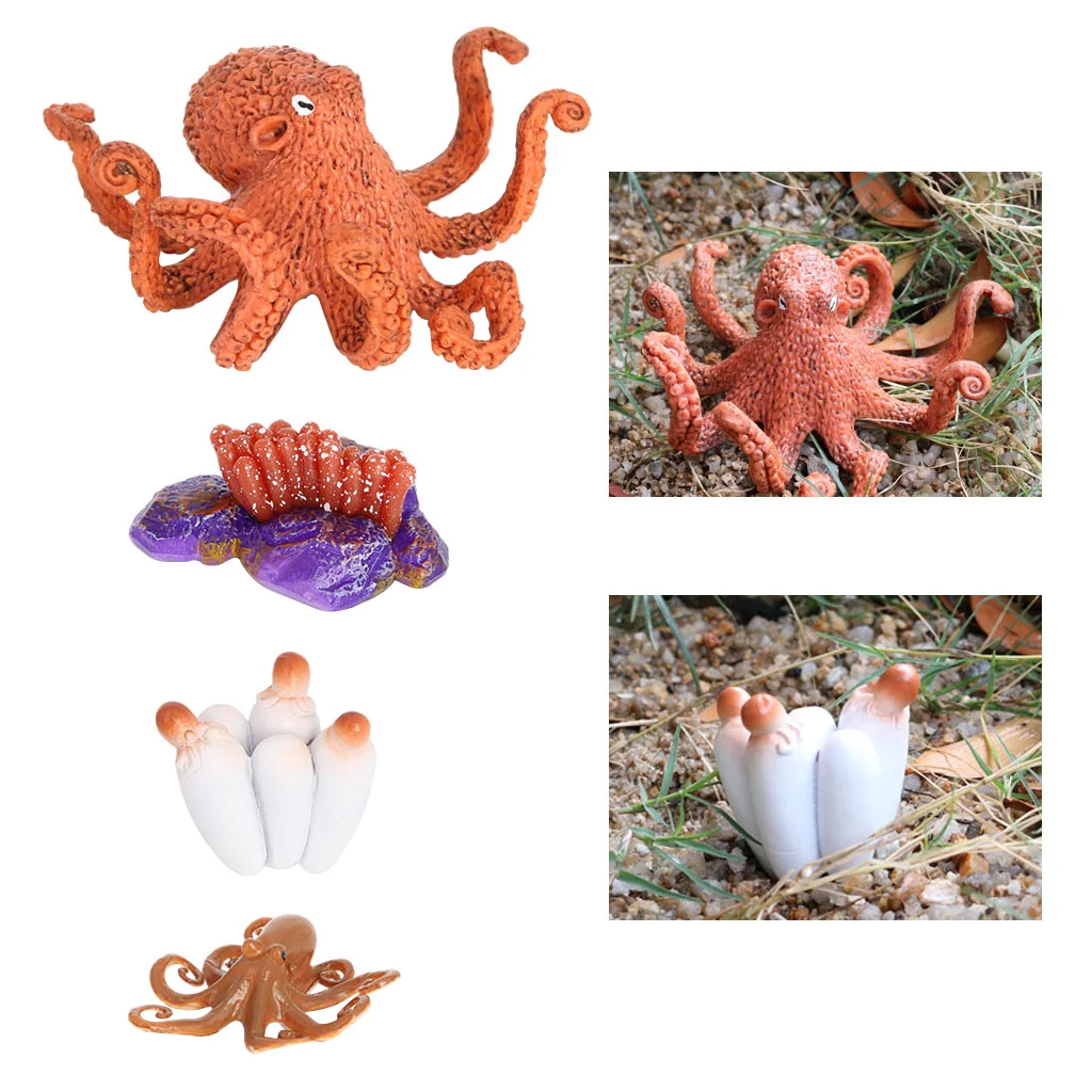 

Lifelike Devilfish Life Cycle Growth Model Kid Early Education Teaching Toy