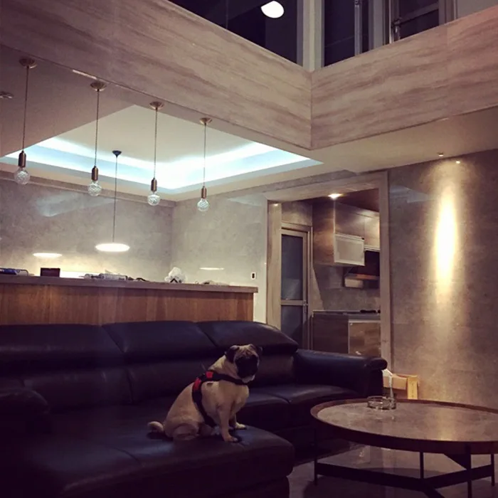 Светильник для дома в скандинавском стиле с подвеской железный светодиодный