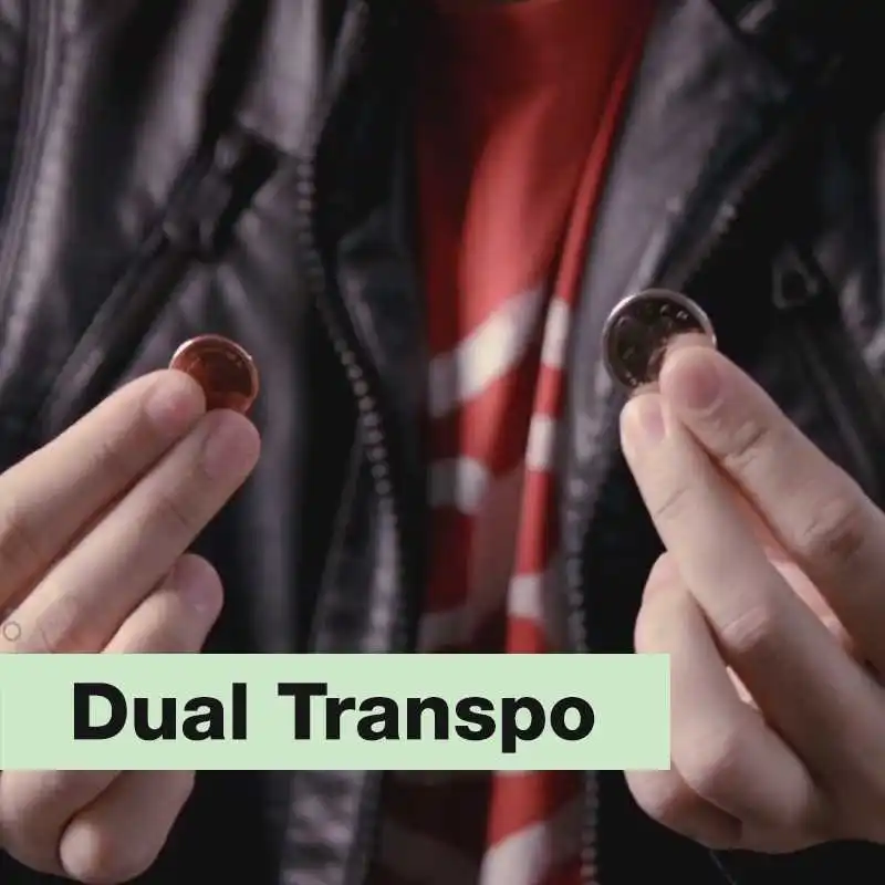

2020 Dual Transpo by SansMinds - Magic Tricks