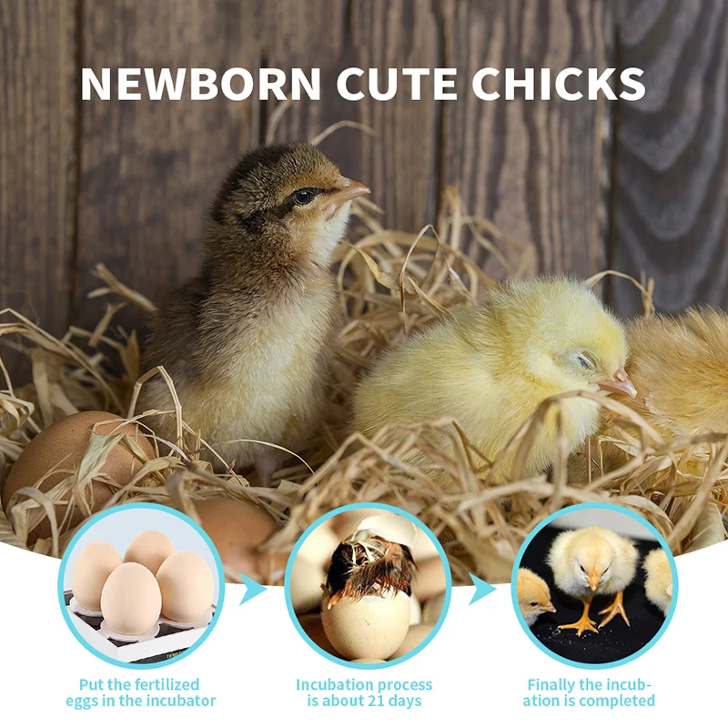 Инкубатор для 4 яиц автоматический инкубатор цыплят утки птицы поворотный