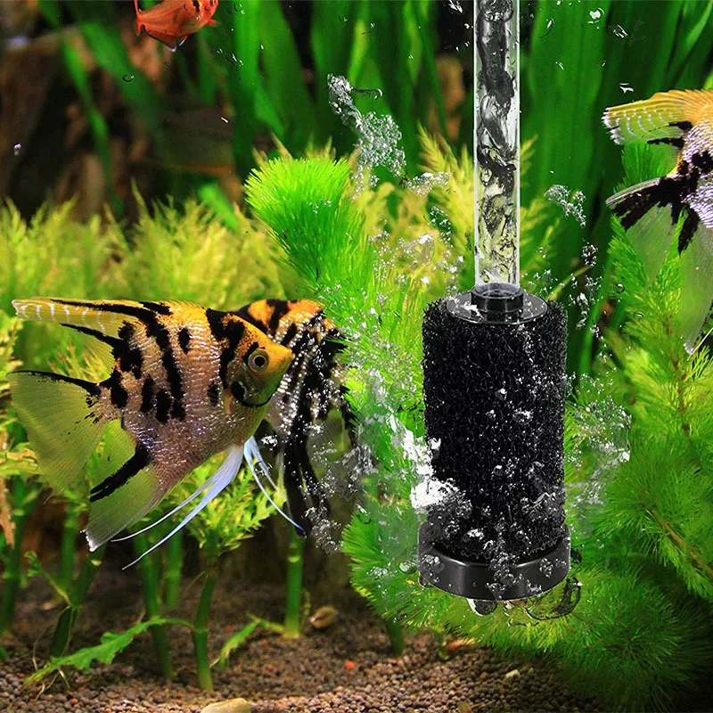 

Чистящие Инструменты, фильтры высокой плотности для очистки бассейна, губка, шланг для подметания хвоста, скребки для бассейна, аквариума, н...