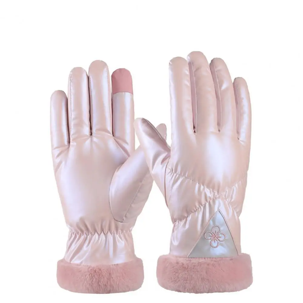 

Soft 1 Pair Practical Fall Winter Women Simple Gloves Touch Screen Lady Gloves Skin-friendly for Outdoor