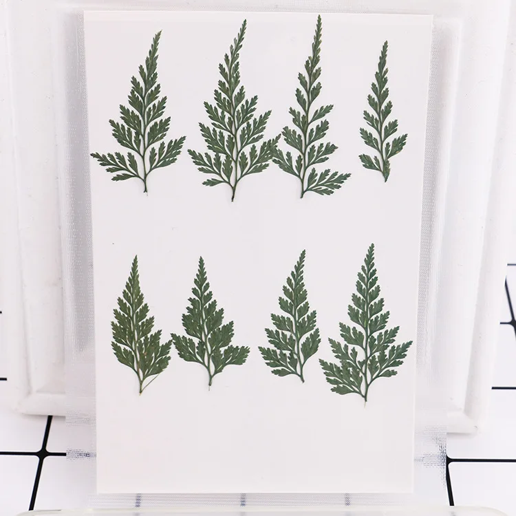 12 шт. декоративные закладки для скрапбукинга|Ювелирная фурнитура и компоненты| |