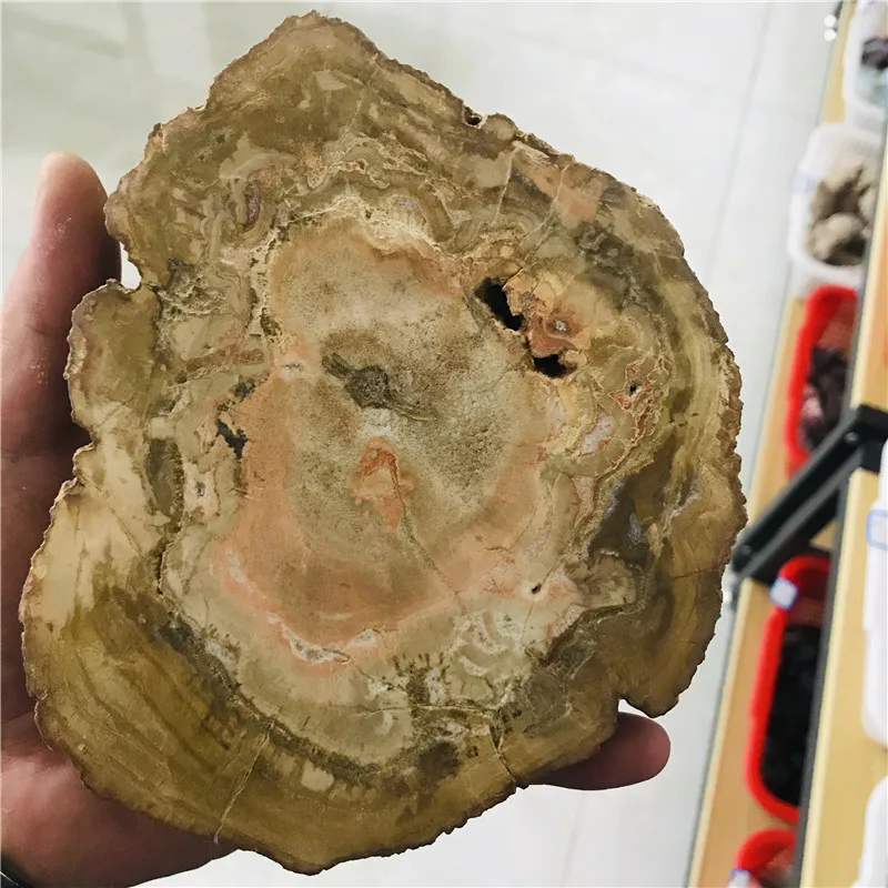 Натуральный минеральный деревянный драгоценный камень с драгоценным камнем для
