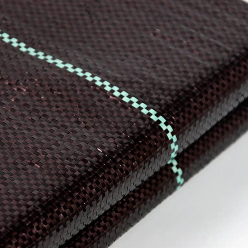 구매 정원 과수원 도구 온실 잡초 장벽 패브릭 잡초 천 겨울 PE 식물 커버 농업 안티 잔디 그라운드 매트