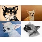 Алмазная вышивка с изображением милого питомца, черно-белая чихуахуа, вышивка крестом с собакой, квадратные картины стразы, мозаичные алмазные картины