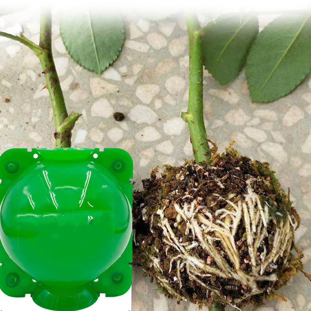 

Контейнер для выращивания растений, прибор для корней, устройство для выращивания растений высокого давления, Прививка для сада и породы, к...