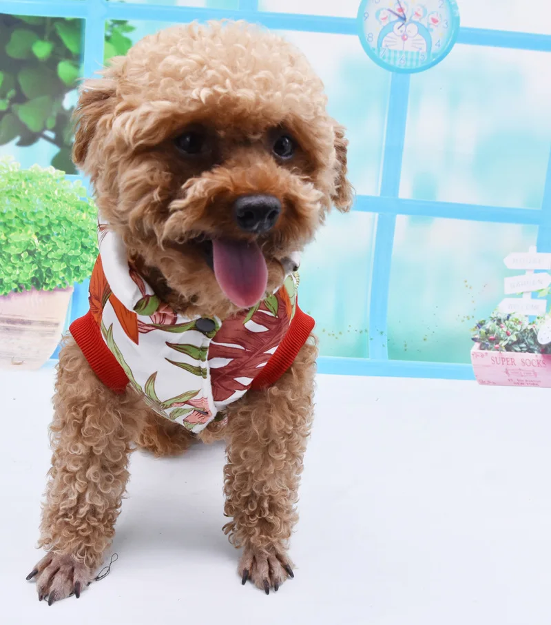 Женская зимняя одежда для собак домашних животных костюмы маленьких чихуахуа