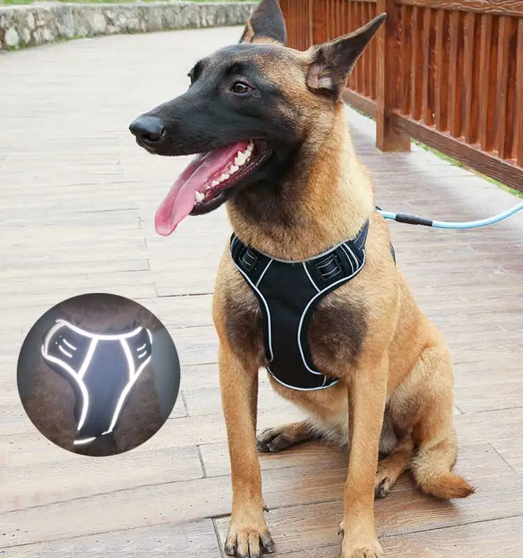 Жилетка-шлейка для собак светоотражающая дышащая шлейка с ручкой не тянется