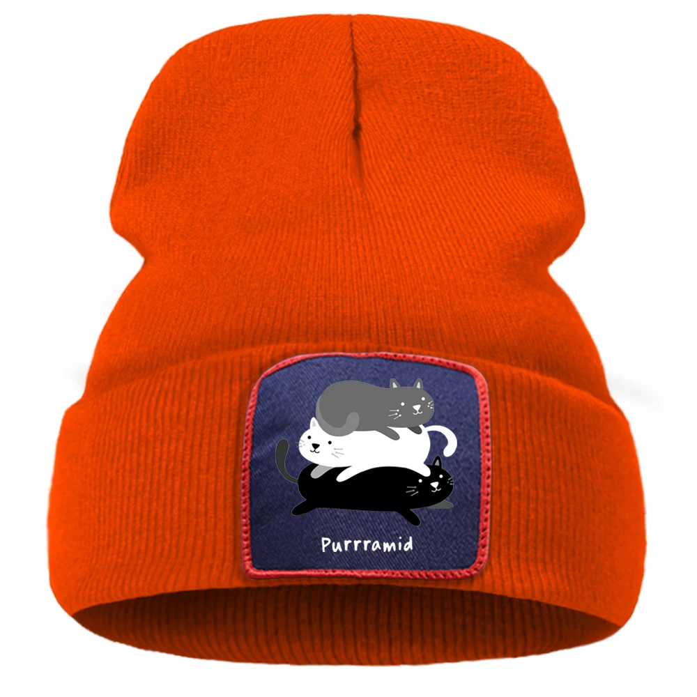 Одноцветные теплые зимние однотонные кепки унисекс с забавным принтом кошки из