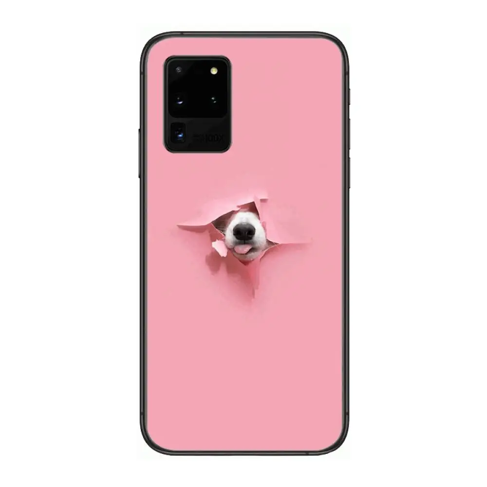 

Hiromi Cute white puppy pet Phone cover hull For SamSung Galaxy S 6 7 8 9 10 20 21 Plus Edge E note 5G Lite Ultra black soft b