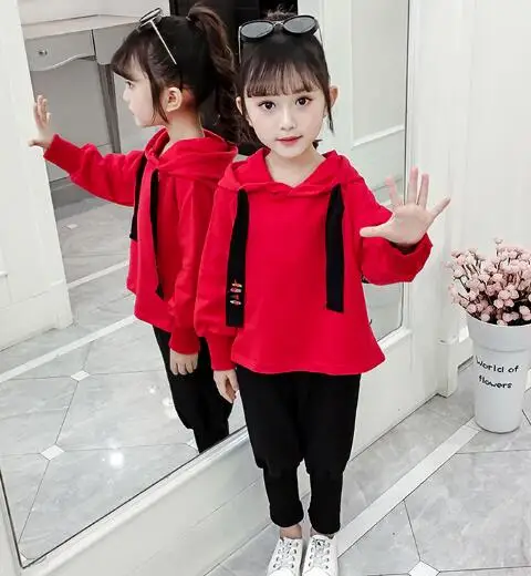 Комплекты детской одежды г., осенний спортивный костюм для маленьких девочек детский спортивный костюм из 2 предметов: толстовка с капюшоном+ штаны Спортивная одежда для девочек 2, 3, 4 От 6 до 7 лет