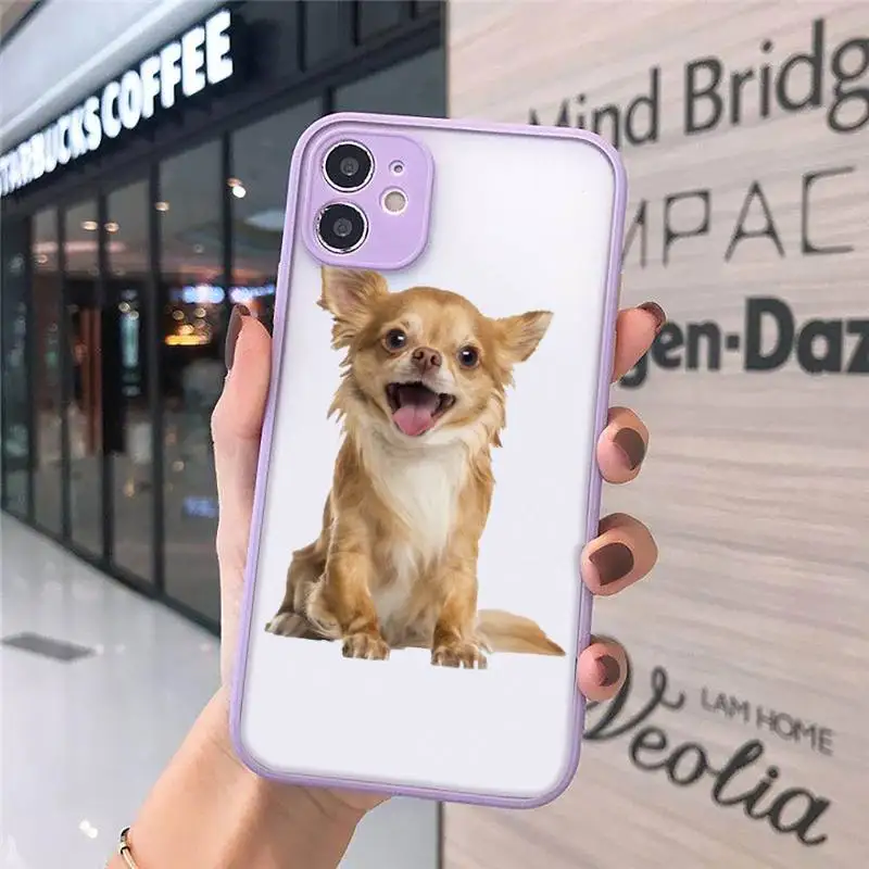 

Cute animal Chihuahua Dog Phone Cases matte transparent For iphone 7 8 11 12 plus mini x xs xr pro max cover