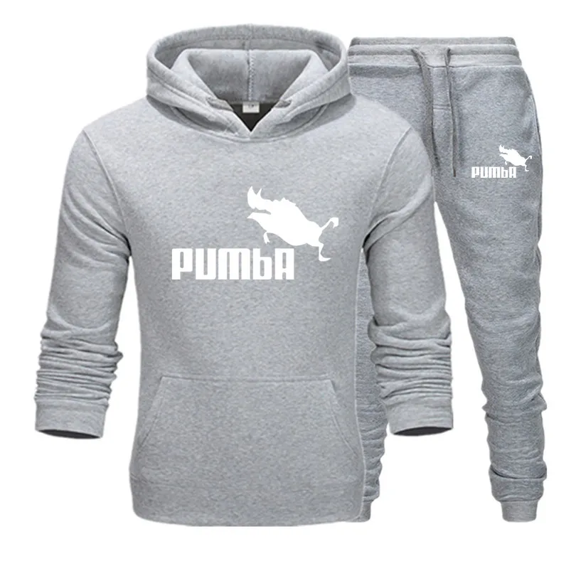 Лидер продаж, мужские комплекты с принтом на осень и зиму, толстовка+ штаны, комплекты из 2 предметов, повседневный спортивный костюм, мужская спортивная одежда, спортивные штаны для фитнеса - Цвет: Light Grey Sets